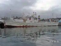 Langlinjetråler til salgs