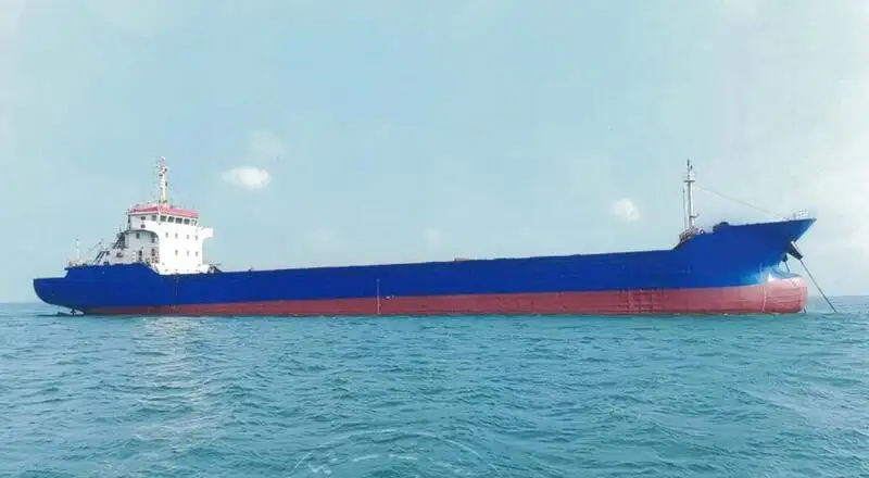 Containerskip til salgs