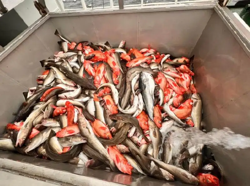 Fisketråler til salgs