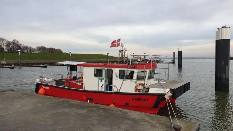 Katamaran til salgs