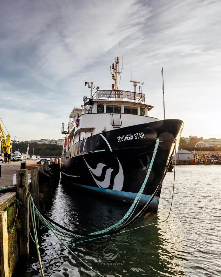 Oppmålingsfartøy til salgs