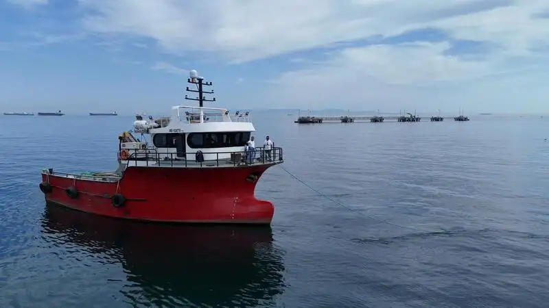 Arbeidsbåter til salgs