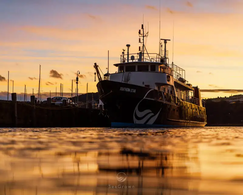 Oppmålingsfartøy til salgs