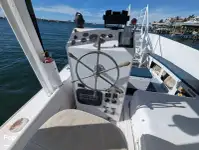 Cruiseferge til salgs