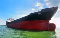 Containerskip til salgs