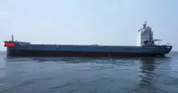 Containerskip til salgs