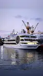 Motorfartøy til salgs