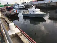 Pilotbåt til salgs