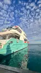 Cruise skip til salgs