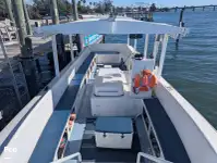 Cruiseferge til salgs