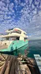 Cruise skip til salgs