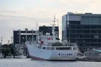 Fisketråler til salgs