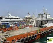 vindkraftfartøy til salgs