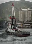 Taubåt til salgs