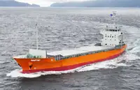 Containerskip til salgs