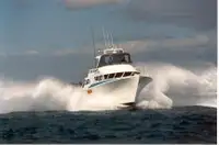 Arbeidsbåter til salgs