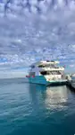 Cruise skip til salgs