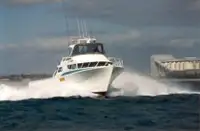 Arbeidsbåter til salgs