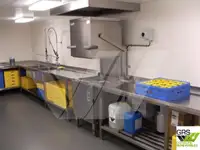 Containerskip til salgs