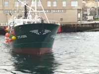 Fisketråler til salgs